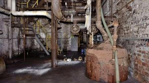 Feb 2013 - McCormicks-Biscuit-Factory507.jpg