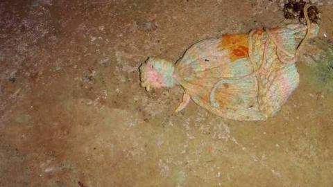 Ugly With a View - Green-Hill-Side47.jpg