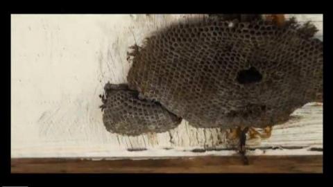 December 2011 - Van-Der-Hart2.jpg