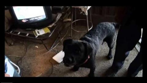 December 2011 - Van-Der-Hart25.jpg