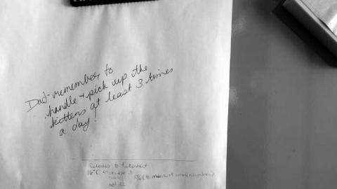 Early March 2013 - Abandoned-Cat-Lady-House268.jpg