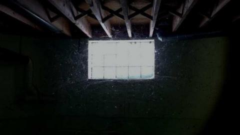 Early March 2013 - Abandoned-Cat-Lady-House270.jpg