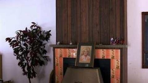 Early March 2013 - Abandoned-Cat-Lady-House271.jpg