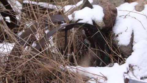 Photo from I came I saw