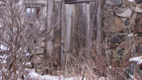 I came I saw - House-of-tires-and-spiders25.jpg