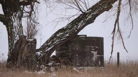 I came I saw - House-of-tires-and-spiders26.jpg