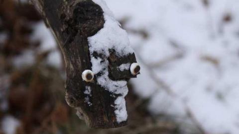 I came I saw - House-of-tires-and-spiders20.jpg