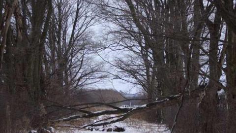 Photo from I came I saw