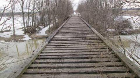 2 Old Rail Bridges and a Cat - West Lincoln, Ontario