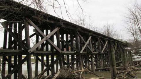 2 Old Rail Bridges and a Cat photo 3