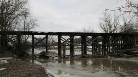 Old Rail Bridges - 2-Old-Rail-Bridges-and-a-Cat1.jpg