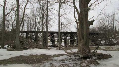 2 Old Rail Bridges and a Cat photo 2