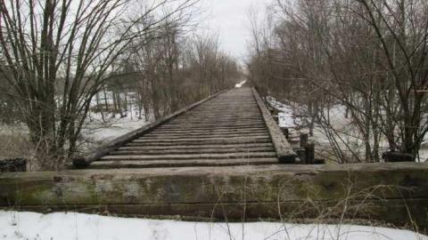 Old Rail Bridges - 2-Old-Rail-Bridges-and-a-Cat7.jpg