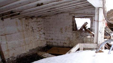 Patterson Farm - Cedar-Hedge-Farm3.jpg