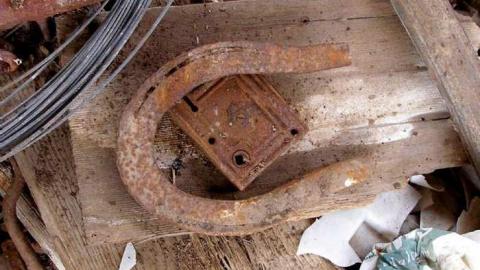 Patterson Farm - Cedar-Hedge-Farm6.jpg