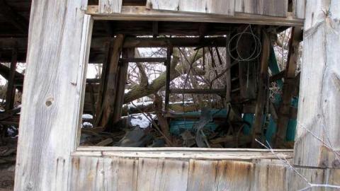 Patterson Farm - Cedar-Hedge-Farm7.jpg