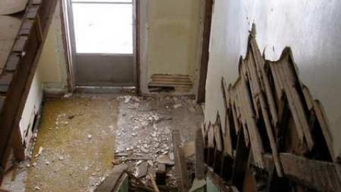 Patterson Farm - Cedar-Hedge-Farm20.jpg