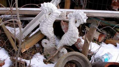 Patterson Farm - Cedar-Hedge-Farm24.jpg