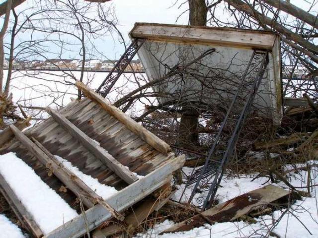 Cedar Hedge Farm photo 3