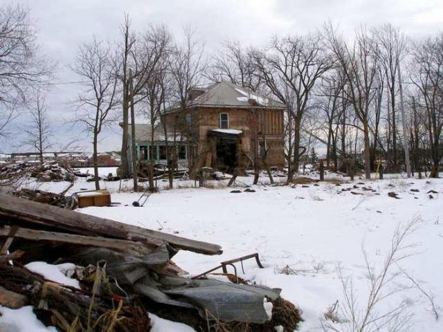 Cedar Hedge Farm photo 5