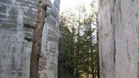 Gallery - Marlbank-Ghost-Town19.jpg