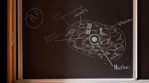 Oct '09 - A Chance Encounter - Dundas-District-Public-School22.jpg