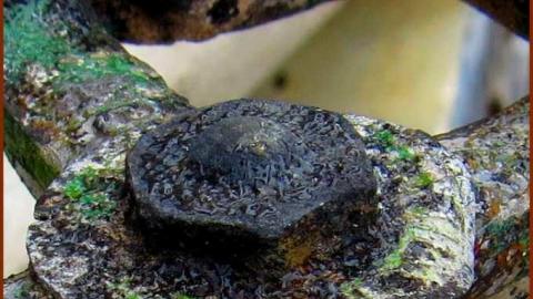 Industrial Trojan War - 011 - IMG_0335 - OAP.jpg