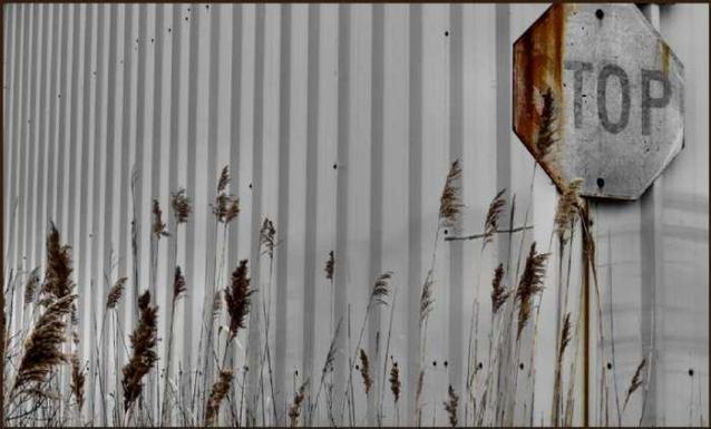 Industrial Trojan War photo 2