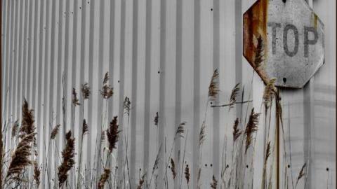 Industrial Trojan War photo 2