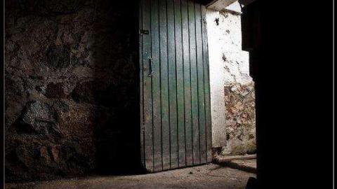 Gallery - Ladybug-House-Springbank2.jpg