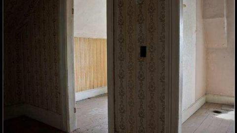 Gallery - Ladybug-House-Springbank3.jpg