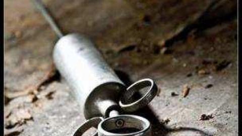 Ladybug House- Springbank - North Middlesex, Ontario