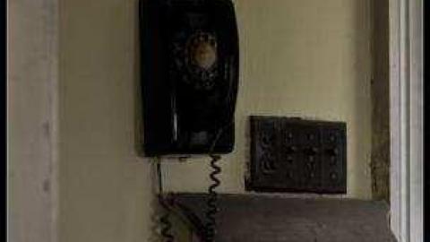 Ladybug House- Springbank photo 4