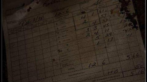 Gallery - Ladybug-House-Springbank9.jpg