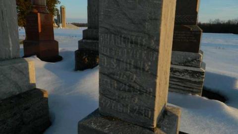 Harriston Pioneer Cemetery - Fordwith-Pioneer-Cemetery3.jpg