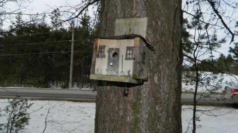 Minto Pioneer Cemetery - Roman-Catholic-Pioneer-Cemetery2.jpg