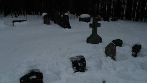 Roman Catholic Pioneer Cemetery photo 3