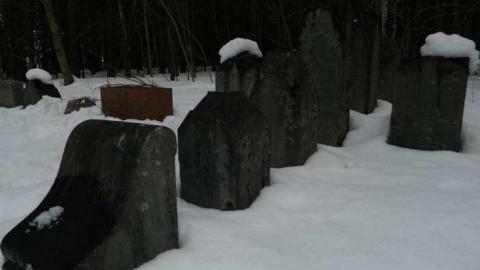 Minto Pioneer Cemetery - Roman-Catholic-Pioneer-Cemetery7.jpg