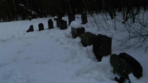 Minto Pioneer Cemetery - Roman-Catholic-Pioneer-Cemetery8.jpg