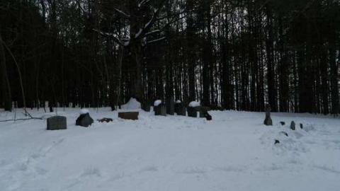 Minto Pioneer Cemetery - Roman-Catholic-Pioneer-Cemetery16.jpg