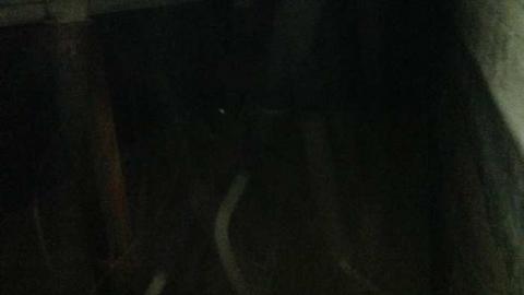 Bunker - CFB-Edgar150.jpg