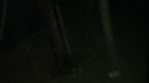 Bunker - CFB-Edgar377.jpg