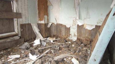 Photo from In & Out in Seconds