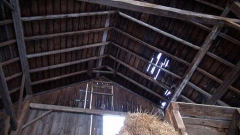 March 2013 - yzcnpDSC01394.jpg