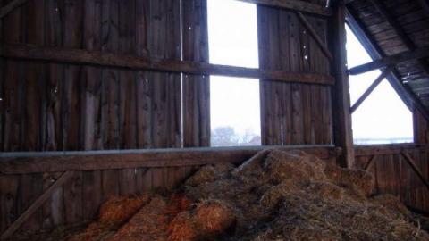 March 2013 - tumlgDSC01397.jpg