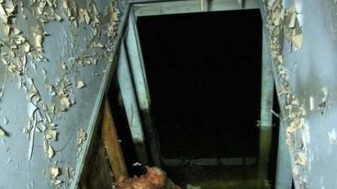 Dine and Dash - Baseline-Budget1.jpg