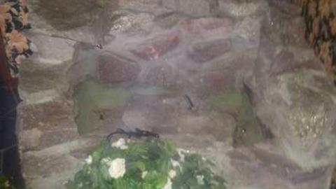 How is this left? - Abandoned-Cat-Lady-House323.jpg