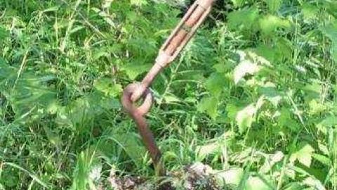 Lost Channel (ghost town) photo 4