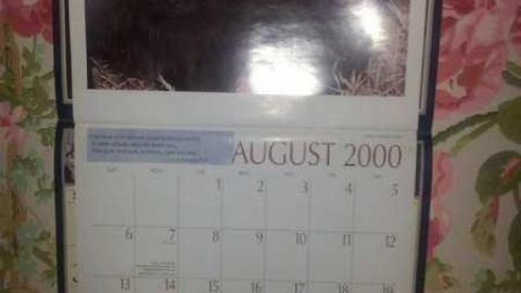 How is this left? - Abandoned-Cat-Lady-House329.jpg