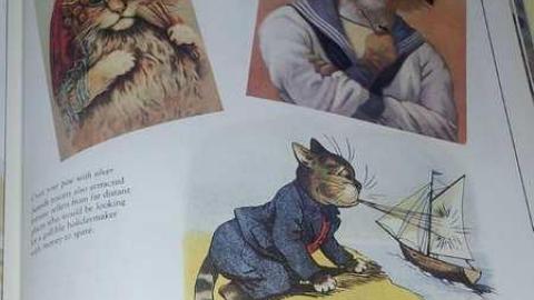 How is this left? - Abandoned-Cat-Lady-House330.jpg